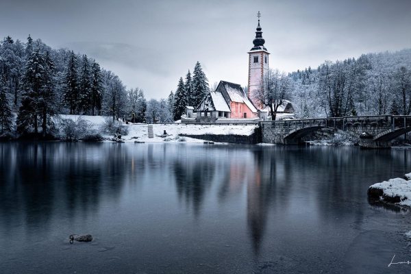 Lake Bohinj - EslovéniaLuís João Paralta